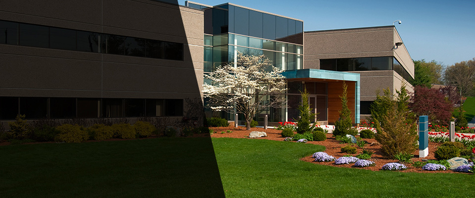 El Dorado Hills Landscapers