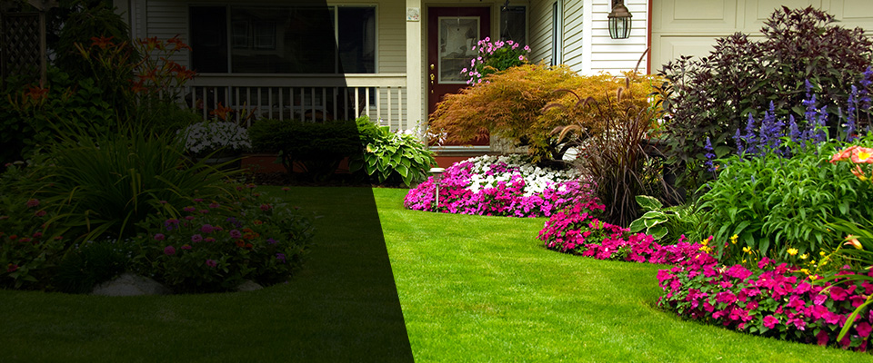 El Dorado Hills Landscapers